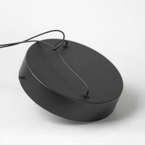 Подвесной светильник Lussole Mitchell LSP-7308 в Снежинске - snezhinsk.mebel24.online | фото 5
