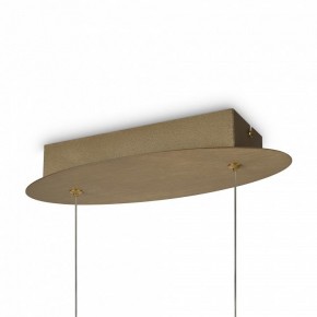 Подвесной светильник Maytoni Curve MOD156PL-L52G4K в Снежинске - snezhinsk.mebel24.online | фото 5