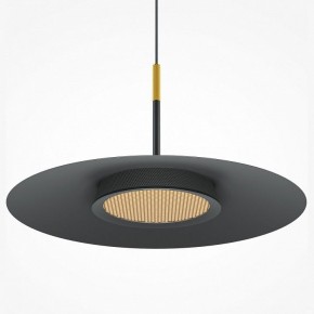 Подвесной светильник Maytoni Halo MOD041PL-L15B3K1 в Снежинске - snezhinsk.mebel24.online | фото