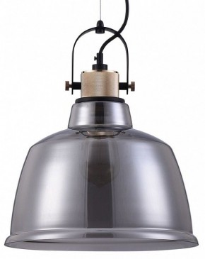 Подвесной светильник Maytoni Irving T163PL-01C в Снежинске - snezhinsk.mebel24.online | фото 2