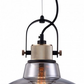 Подвесной светильник Maytoni Irving T163PL-01C в Снежинске - snezhinsk.mebel24.online | фото 9
