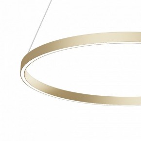 Подвесной светильник Maytoni Rim MOD058PL-L42BSK в Снежинске - snezhinsk.mebel24.online | фото 4