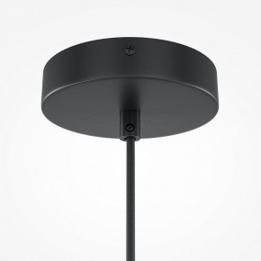 Подвесной светильник Maytoni Roots MOD194PL-01W1 в Снежинске - snezhinsk.mebel24.online | фото 5