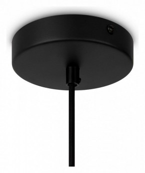 Подвесной светильник Maytoni Roots MOD195PL-01W1 в Снежинске - snezhinsk.mebel24.online | фото 4