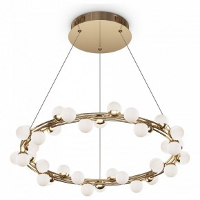 Подвесной светильник Maytoni Tessara MOD081PL-L50G3K в Снежинске - snezhinsk.mebel24.online | фото 2