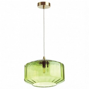 Подвесной светильник Odeon Light Binga 4783/1 в Снежинске - snezhinsk.mebel24.online | фото 2