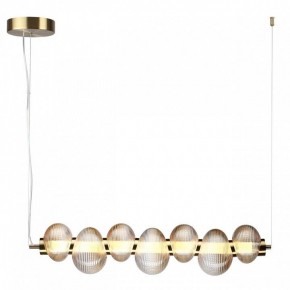 Подвесной светильник Odeon Light Bruco 5095/24L в Снежинске - snezhinsk.mebel24.online | фото 2