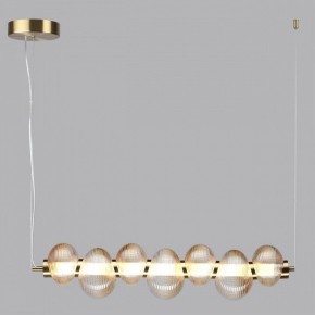Подвесной светильник Odeon Light Bruco 5095/24L в Снежинске - snezhinsk.mebel24.online | фото 3