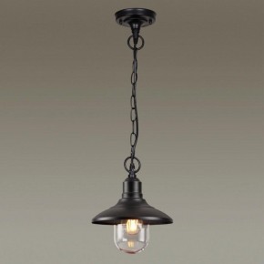 Подвесной светильник Odeon Light Campa 4965/1 в Снежинске - snezhinsk.mebel24.online | фото 2