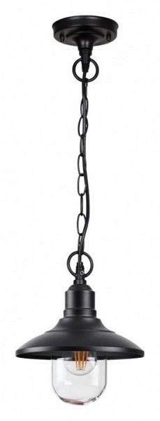 Подвесной светильник Odeon Light Campa 4965/1 в Снежинске - snezhinsk.mebel24.online | фото 3