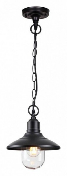 Подвесной светильник Odeon Light Campa 4965/1 в Снежинске - snezhinsk.mebel24.online | фото 4