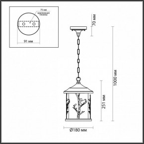 Подвесной светильник Odeon Light Cuita 4963/1 в Снежинске - snezhinsk.mebel24.online | фото 6