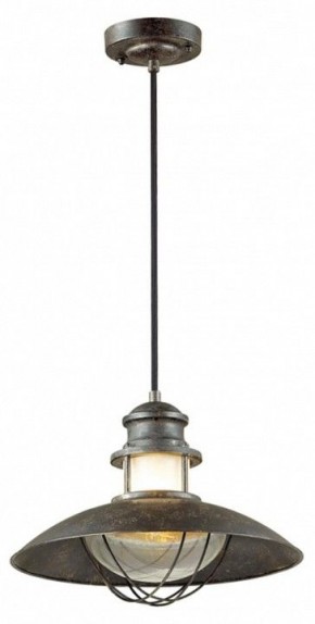 Подвесной светильник Odeon Light Dante 4164/1 в Снежинске - snezhinsk.mebel24.online | фото 2
