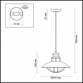 Подвесной светильник Odeon Light Dante 4164/1 в Снежинске - snezhinsk.mebel24.online | фото 3