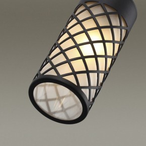 Подвесной светильник Odeon Light Dunes 4834/1 в Снежинске - snezhinsk.mebel24.online | фото 6