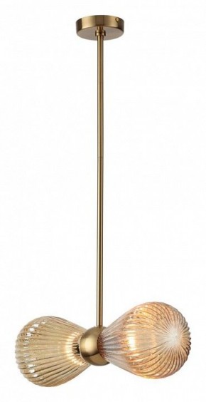 Подвесной светильник Odeon Light Elica 5402/2 в Снежинске - snezhinsk.mebel24.online | фото 2