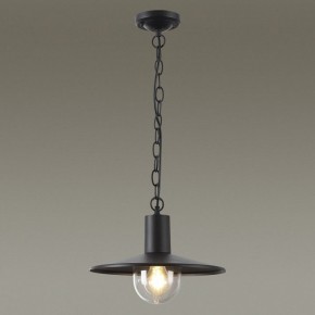 Подвесной светильник Odeon Light Furcadia 4833/1 в Снежинске - snezhinsk.mebel24.online | фото 3