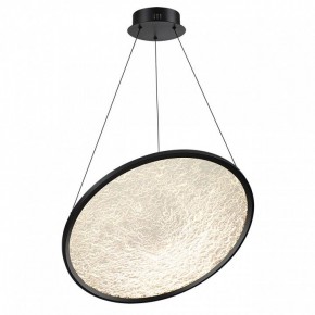 Подвесной светильник Odeon Light Fuso 7046/41L в Снежинске - snezhinsk.mebel24.online | фото 2
