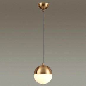 Подвесной светильник Odeon Light Pinga 4960/1 в Снежинске - snezhinsk.mebel24.online | фото 2
