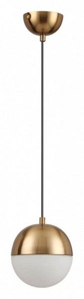 Подвесной светильник Odeon Light Pinga 4960/1 в Снежинске - snezhinsk.mebel24.online | фото 3