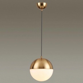 Подвесной светильник Odeon Light Pinga 4960/1A в Снежинске - snezhinsk.mebel24.online | фото 2