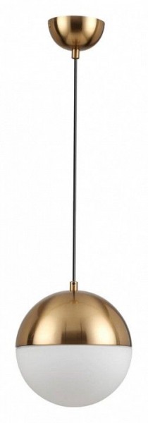Подвесной светильник Odeon Light Pinga 4960/1A в Снежинске - snezhinsk.mebel24.online | фото 3