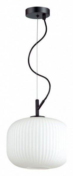 Подвесной светильник Odeon Light Roofi 4753/1 в Снежинске - snezhinsk.mebel24.online | фото 2