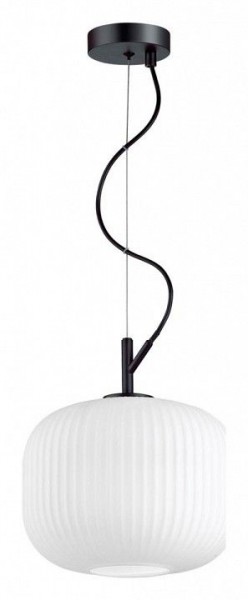 Подвесной светильник Odeon Light Roofi 4753/1 в Снежинске - snezhinsk.mebel24.online | фото 3