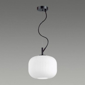 Подвесной светильник Odeon Light Roofi 4753/1 в Снежинске - snezhinsk.mebel24.online | фото 4