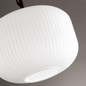 Подвесной светильник Odeon Light Roofi 4753/1 в Снежинске - snezhinsk.mebel24.online | фото 7