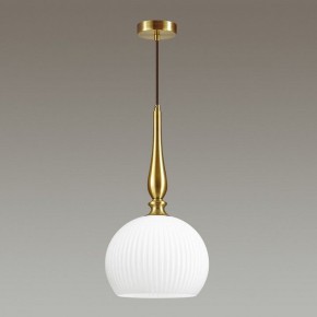 Подвесной светильник Odeon Light Runga 4766/1 в Снежинске - snezhinsk.mebel24.online | фото 4