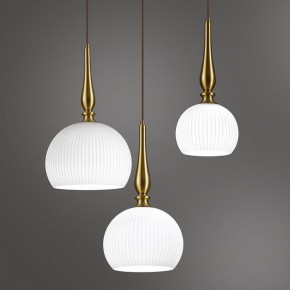 Подвесной светильник Odeon Light Runga 4766/1 в Снежинске - snezhinsk.mebel24.online | фото 6