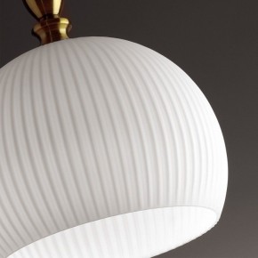 Подвесной светильник Odeon Light Runga 4766/1 в Снежинске - snezhinsk.mebel24.online | фото 8
