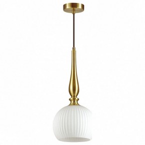 Подвесной светильник Odeon Light Runga 4767/1 в Снежинске - snezhinsk.mebel24.online | фото 2