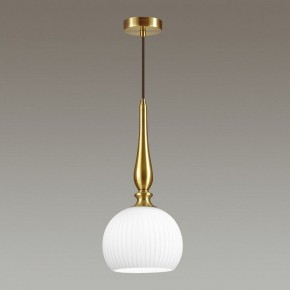 Подвесной светильник Odeon Light Runga 4767/1 в Снежинске - snezhinsk.mebel24.online | фото 4