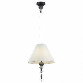 Подвесной светильник Odeon Light Sochi 4896/1 в Снежинске - snezhinsk.mebel24.online | фото 2