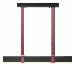 Подвесной светильник Odeon Light Vincent 6629/25L в Снежинске - snezhinsk.mebel24.online | фото 2