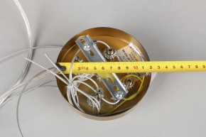 Подвесной светильник Omnilux Cesana OML-67103-08 в Снежинске - snezhinsk.mebel24.online | фото 9