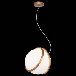 Подвесной светильник ST-Luce Acerra SL1181.353.01 в Снежинске - snezhinsk.mebel24.online | фото 4