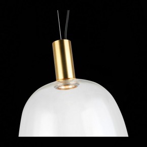 Подвесной светильник ST-Luce Allenore SL1582.313.01 в Снежинске - snezhinsk.mebel24.online | фото 9