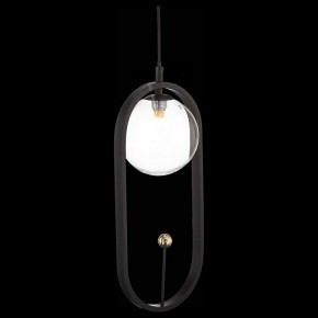 Подвесной светильник ST-Luce Circono SL1201.403.01 в Снежинске - snezhinsk.mebel24.online | фото 4