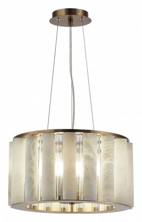 Подвесной светильник ST-Luce Delight SL1516.303.06 в Снежинске - snezhinsk.mebel24.online | фото 3