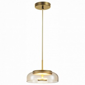 Подвесной светильник ST-Luce Lacio SL6002.203.01 в Снежинске - snezhinsk.mebel24.online | фото
