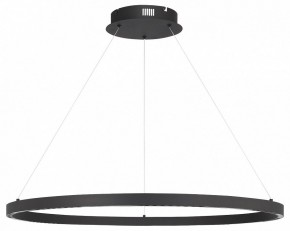 Подвесной светильник ST-Luce PARILLA SL6238.443.01 в Снежинске - snezhinsk.mebel24.online | фото 3