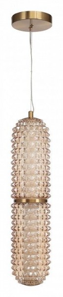 Подвесной светильник ST-Luce SAGUARO SL6144.303.01 в Снежинске - snezhinsk.mebel24.online | фото 3