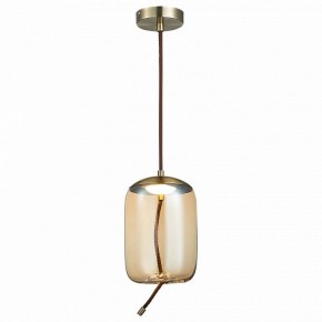Подвесной светильник ST-Luce Sl6108 SL6108.323.01 в Снежинске - snezhinsk.mebel24.online | фото 2