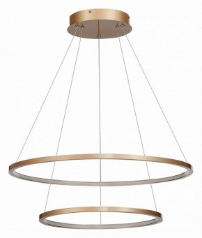 Подвесной светильник ST-Luce ST603 IN ST603.243.56 в Снежинске - snezhinsk.mebel24.online | фото 3