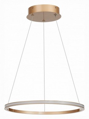 Подвесной светильник ST-Luce ST604 OUT ST604.243.22 в Снежинске - snezhinsk.mebel24.online | фото 2