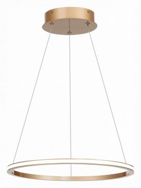 Подвесной светильник ST-Luce ST604 OUT ST604.243.22 в Снежинске - snezhinsk.mebel24.online | фото 3