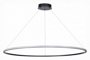 Подвесной светильник ST-Luce ST604 OUT ST604.443.46 в Снежинске - snezhinsk.mebel24.online | фото 2